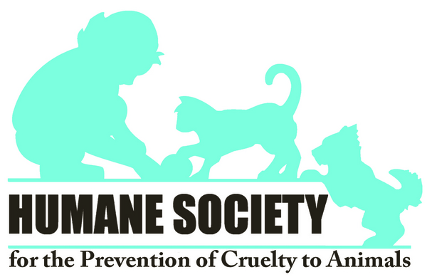 NEW Logo 2